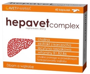 HEPAVET COMPLEX 40 kap na wątrobę cholina karczoch